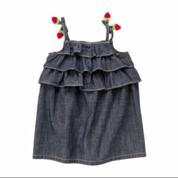 GYMBOREE Girl's Burst of Spring Chambray Dress 2T - Picture 3 of 8
